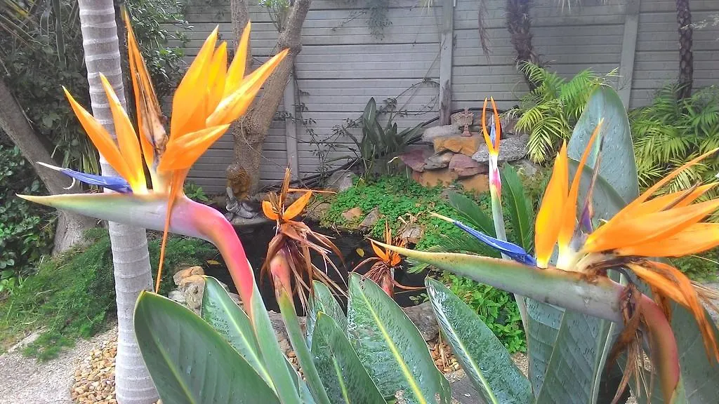 アパート ブラッケンフェルProtea Retreatアパートメント